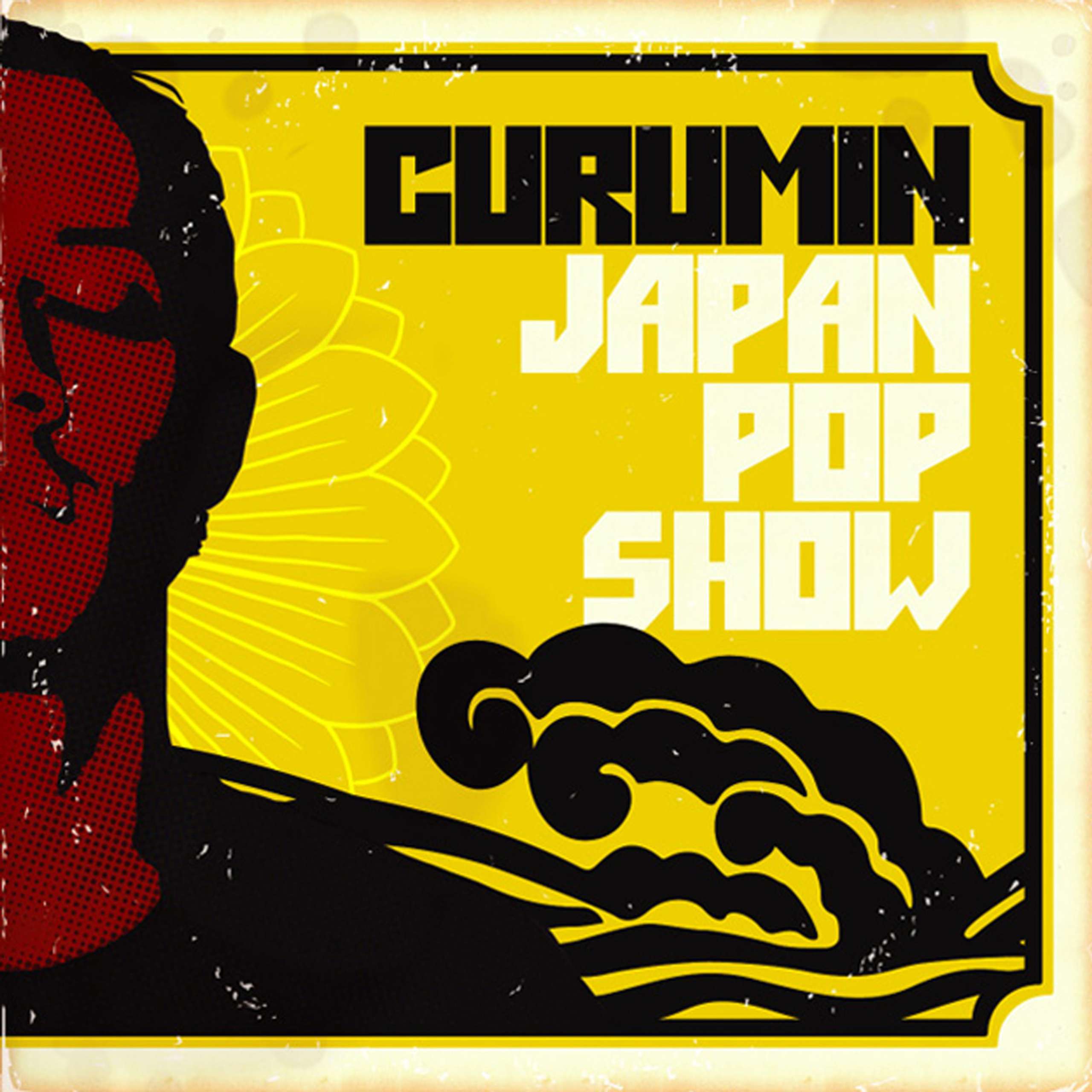 song cover