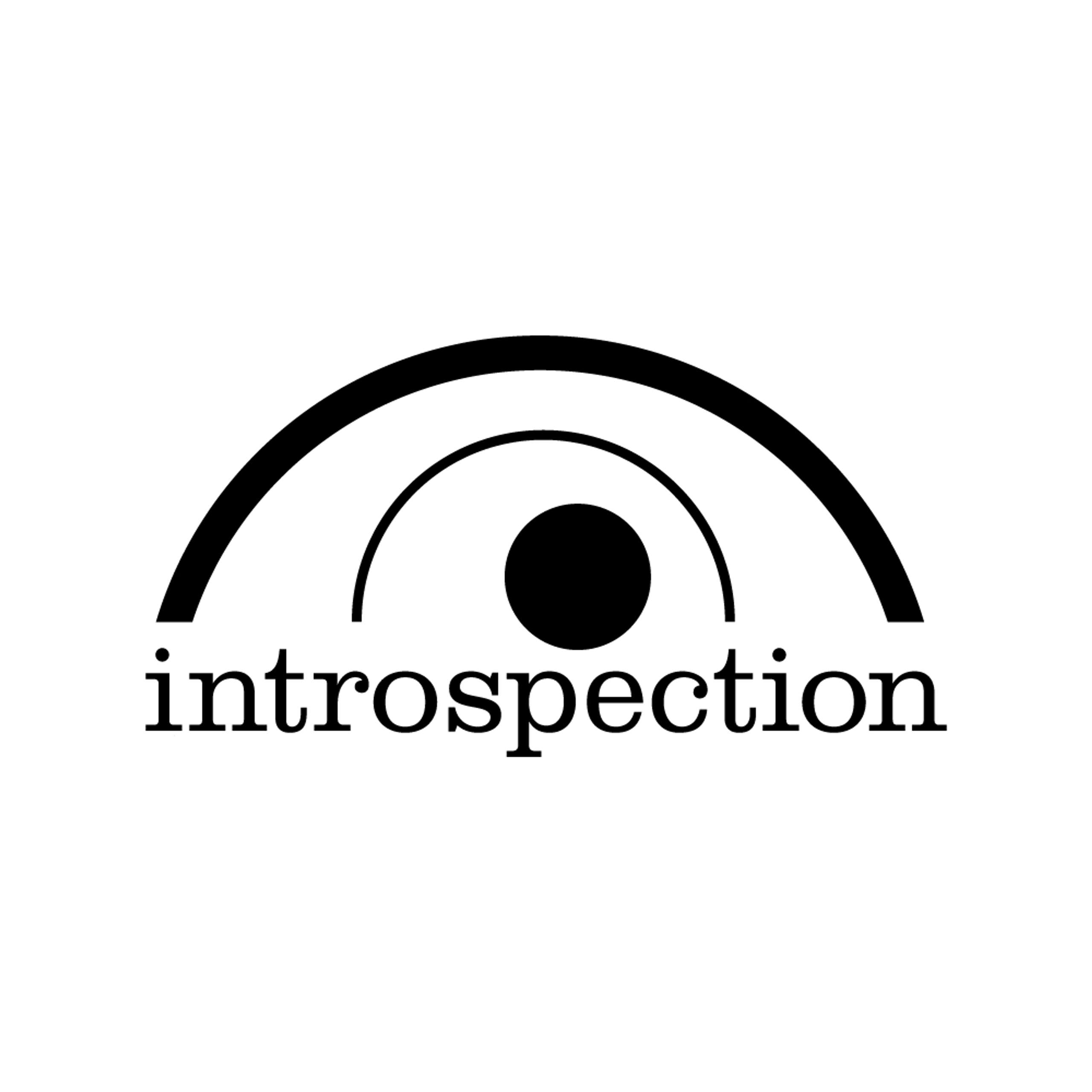 Introspection