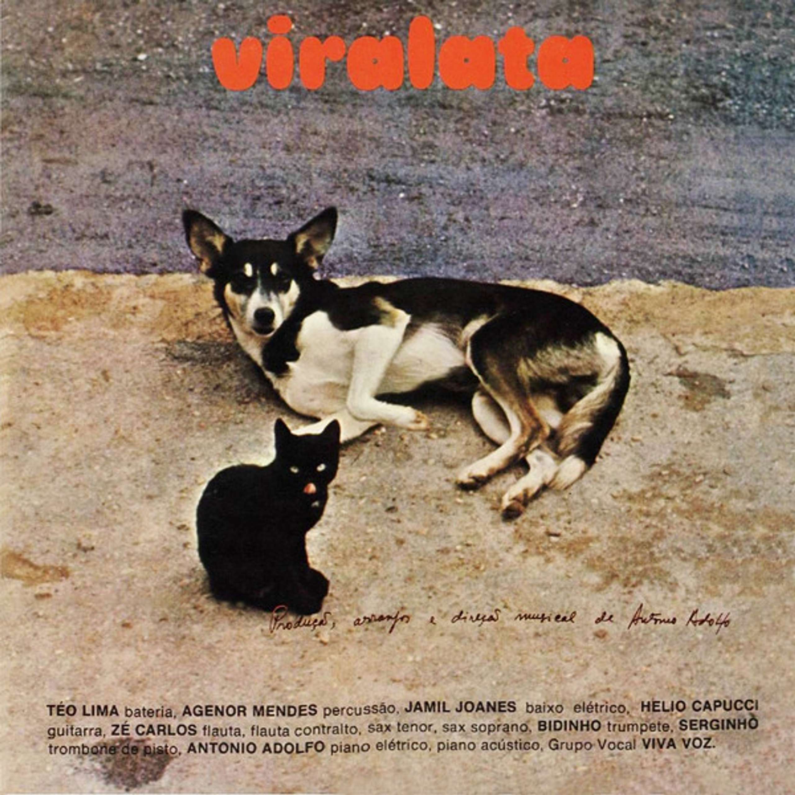 song cover