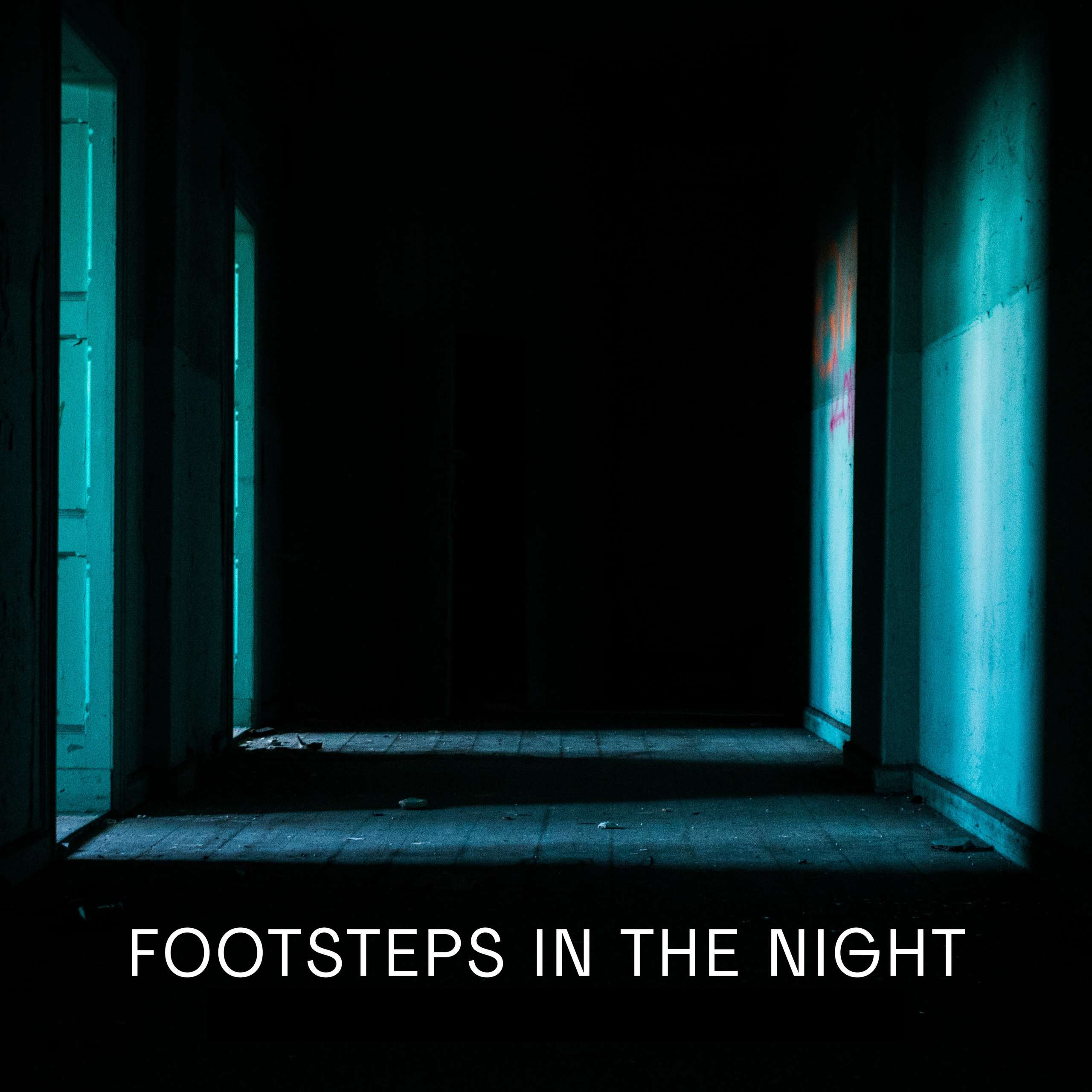 Footsteps In The Night #2