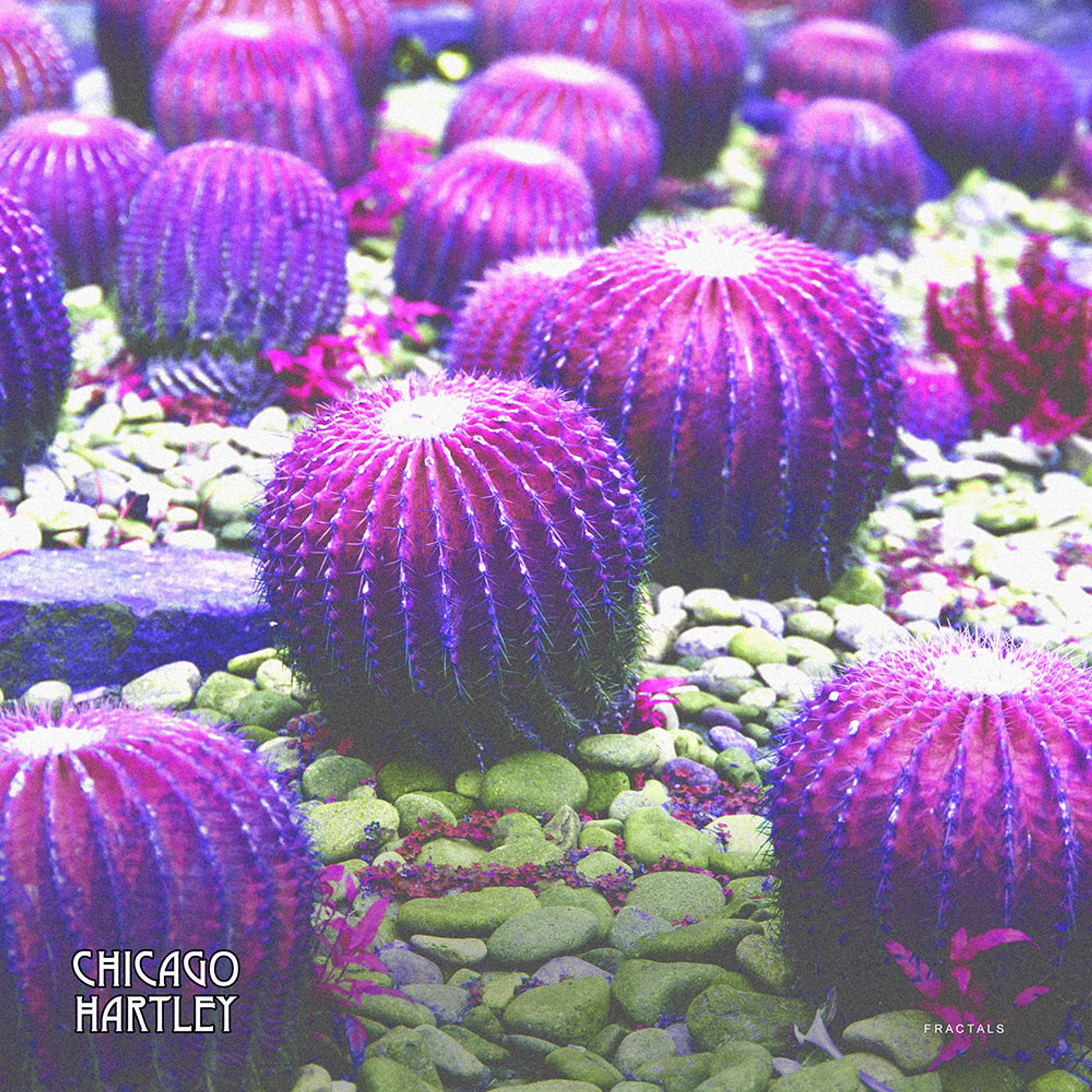 song cover