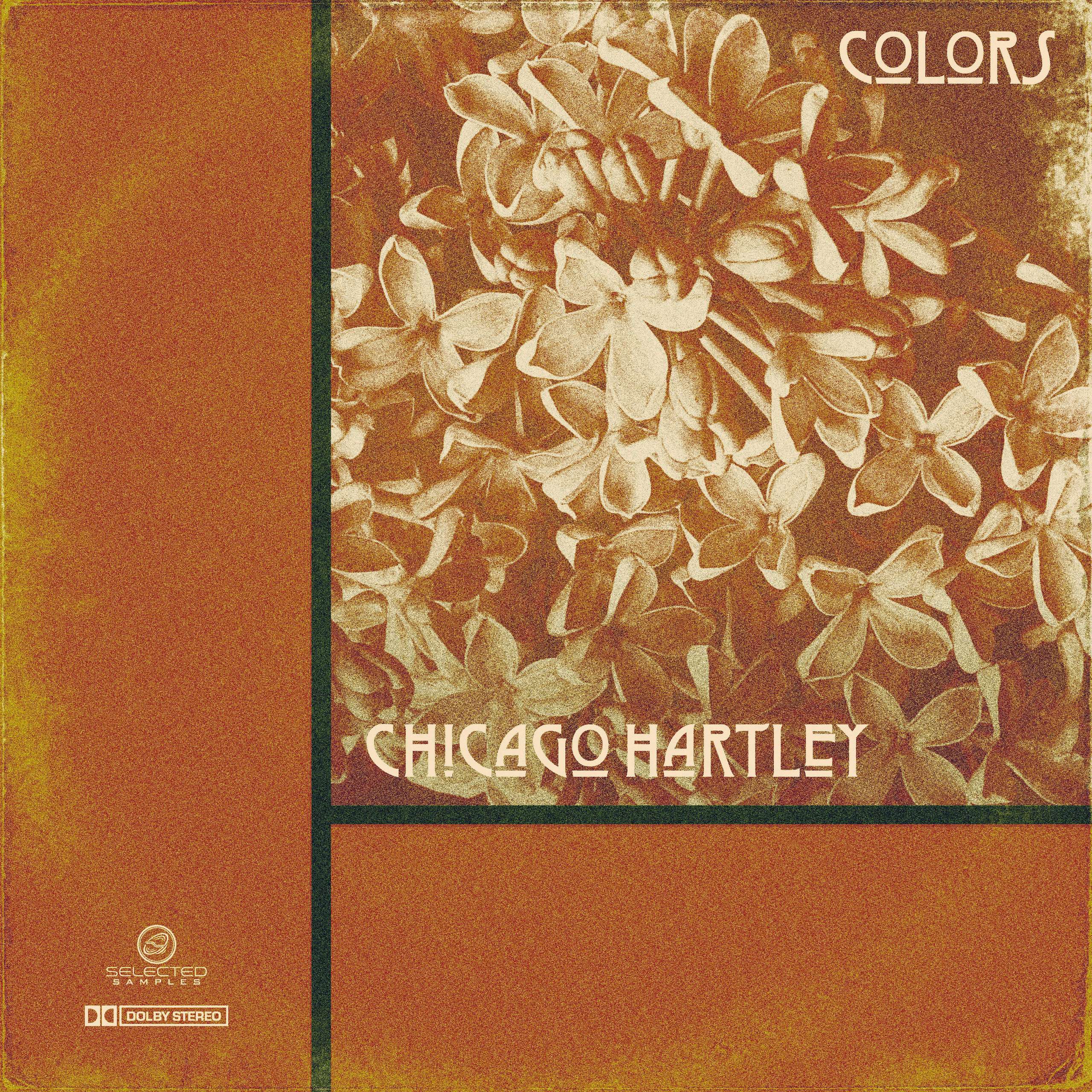song cover