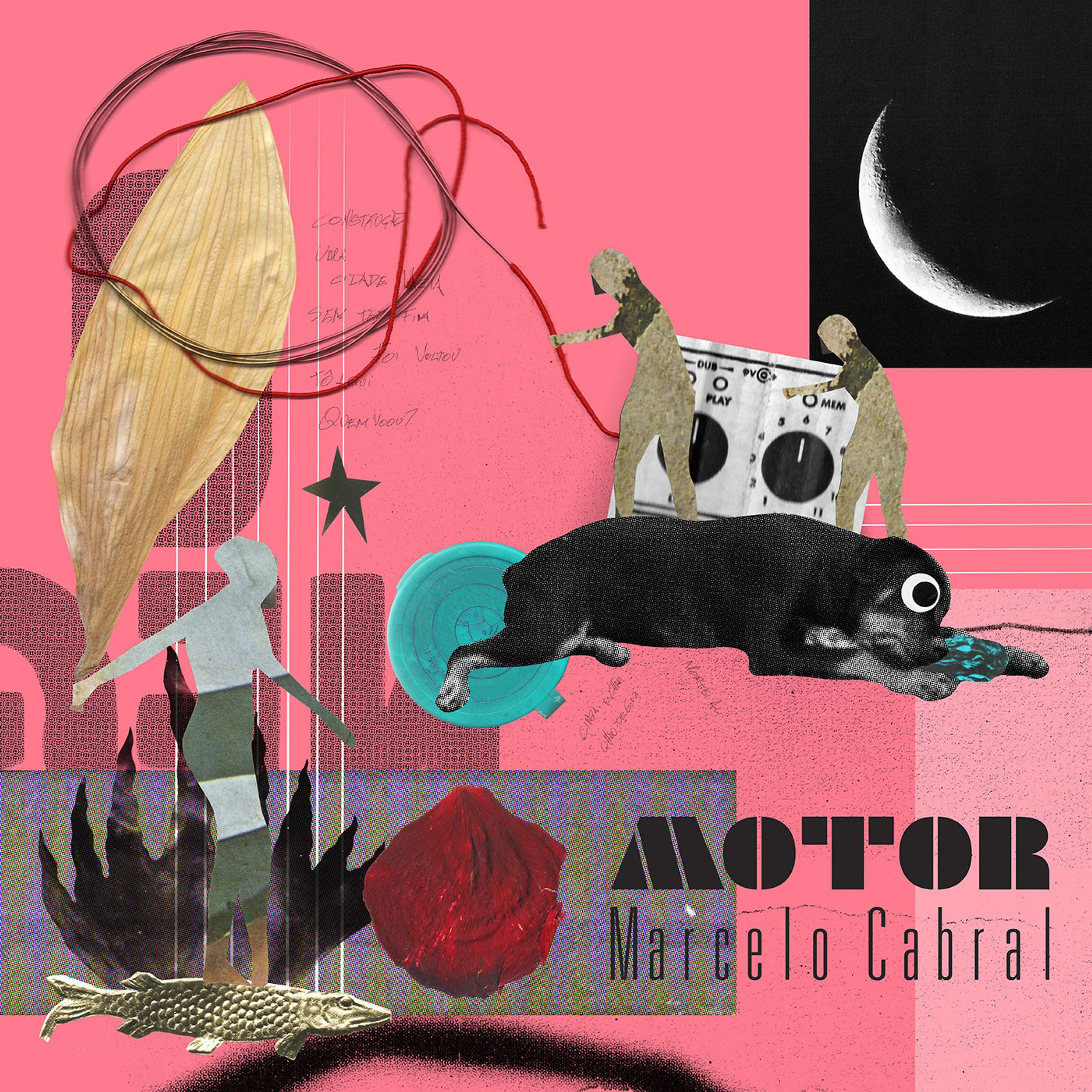 song cover