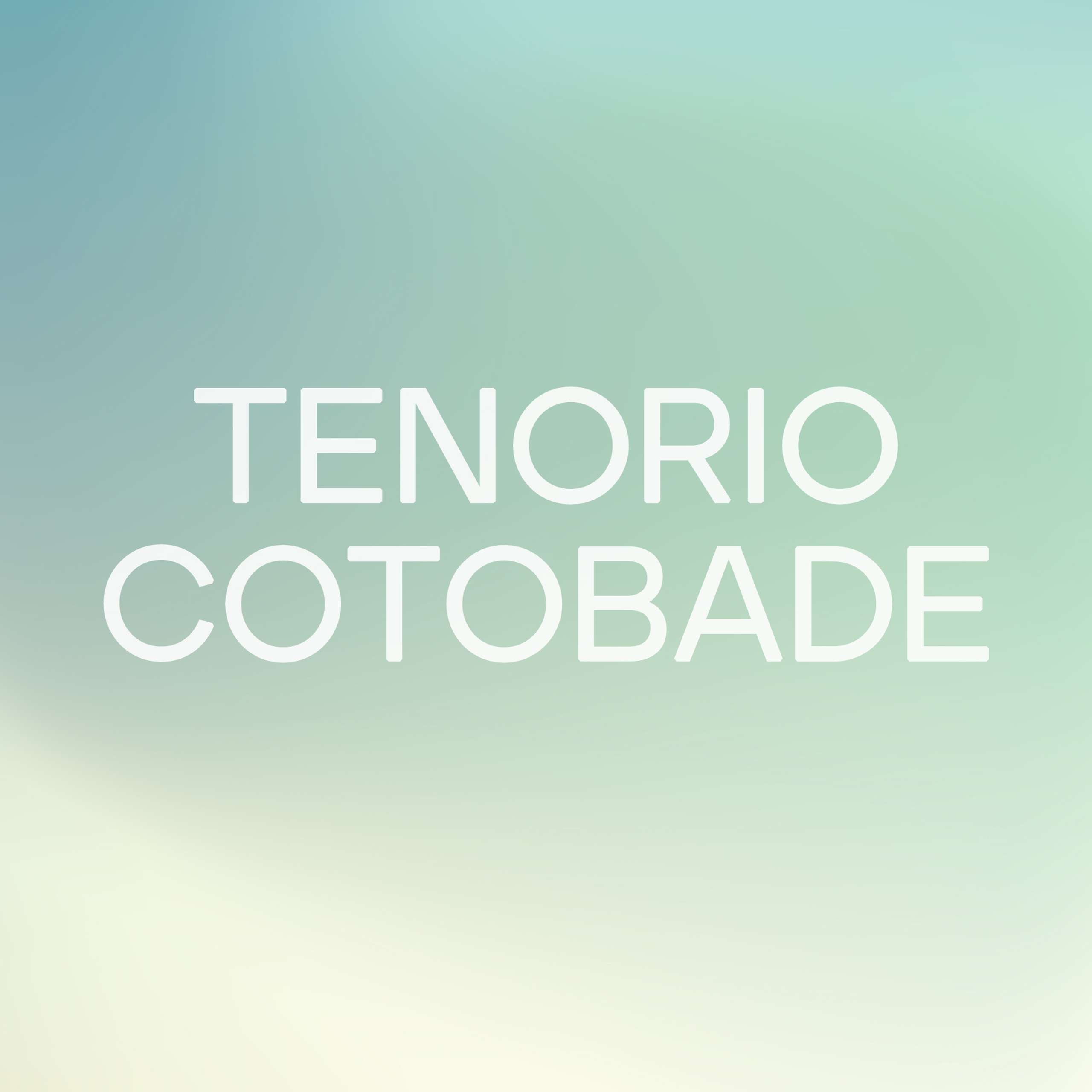 Tenorio Cotobade