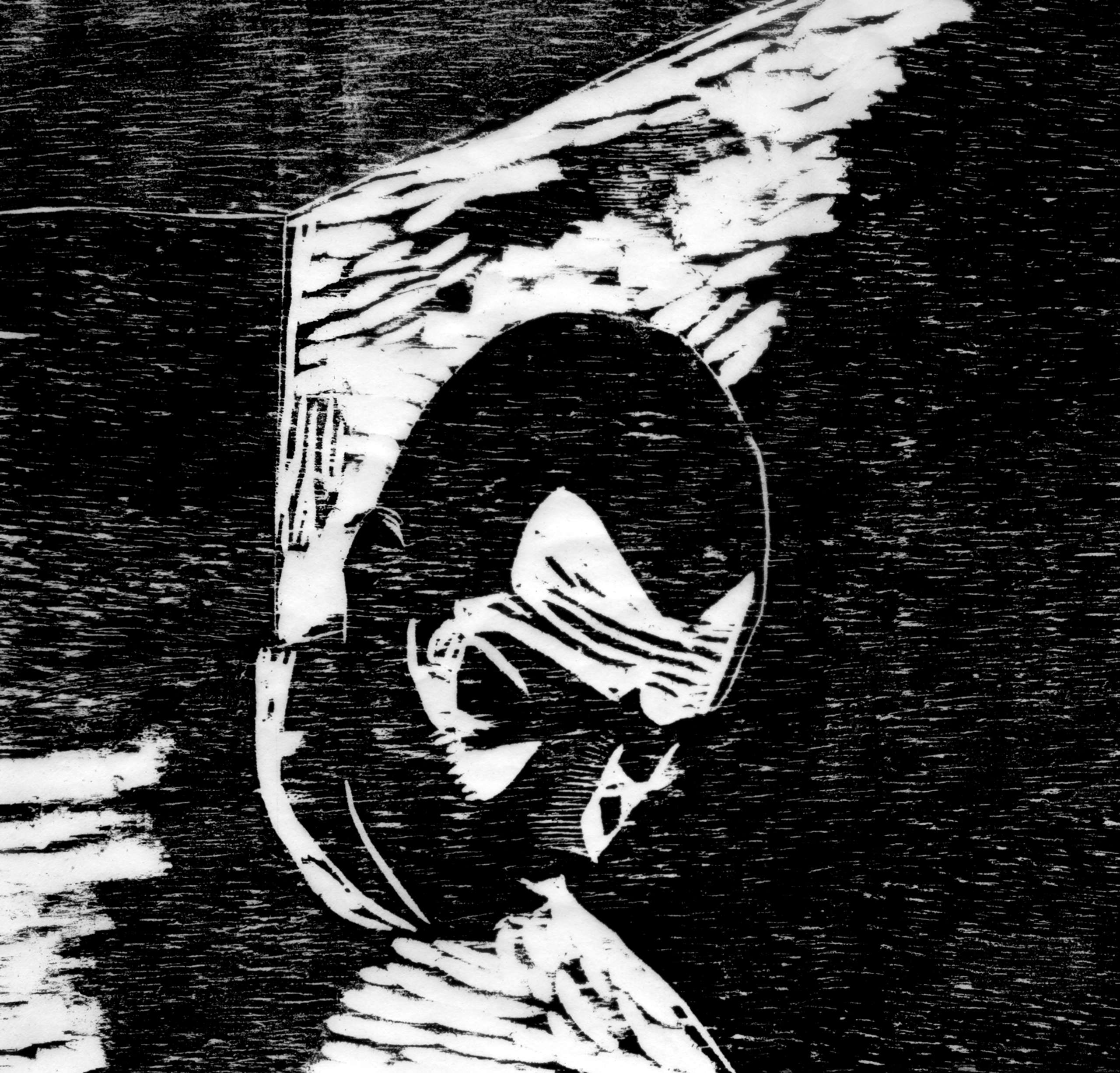 Passarinho Esquisito