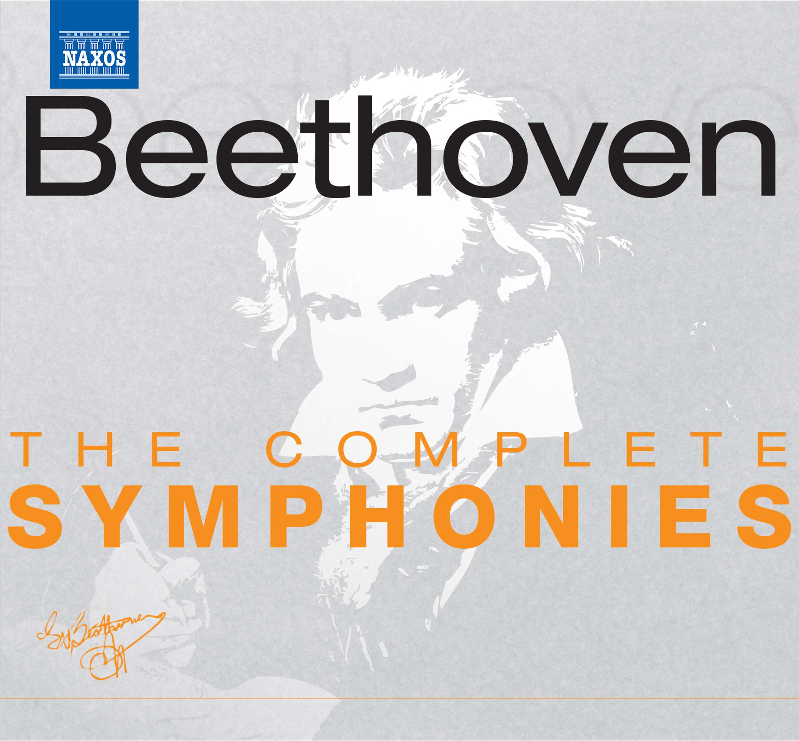 Symphony No. 9 in D Minor, Op. 125 "Choral" - I. Allegro ma non troppo, un poco maestoso