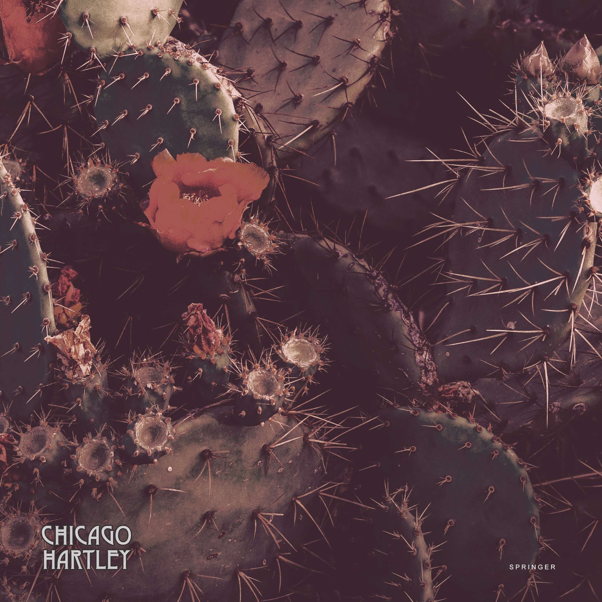 song cover