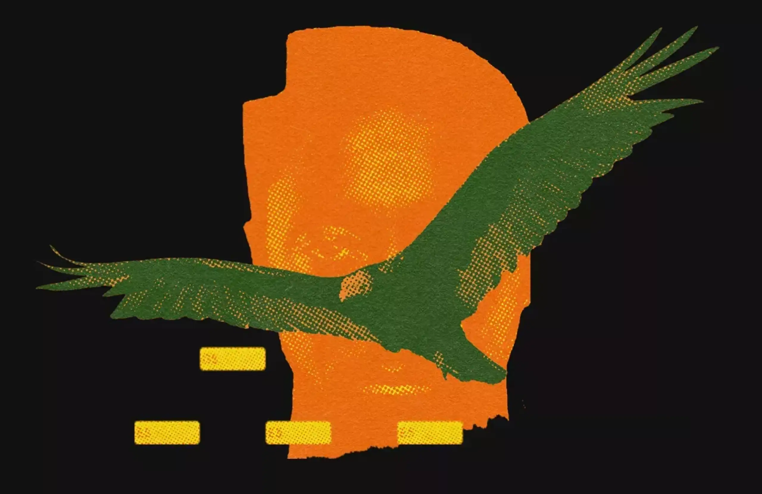 culture vultures sampling