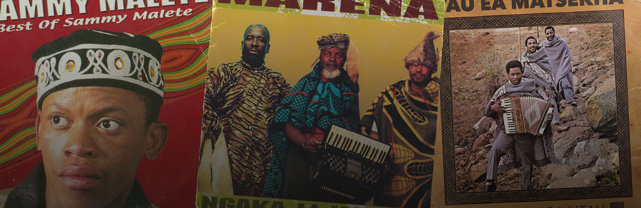 cool spot blog header