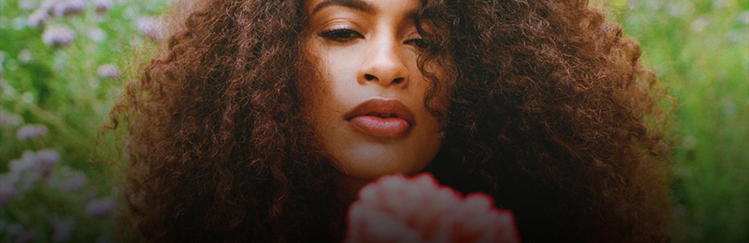 nicole bus wu10 sample pack