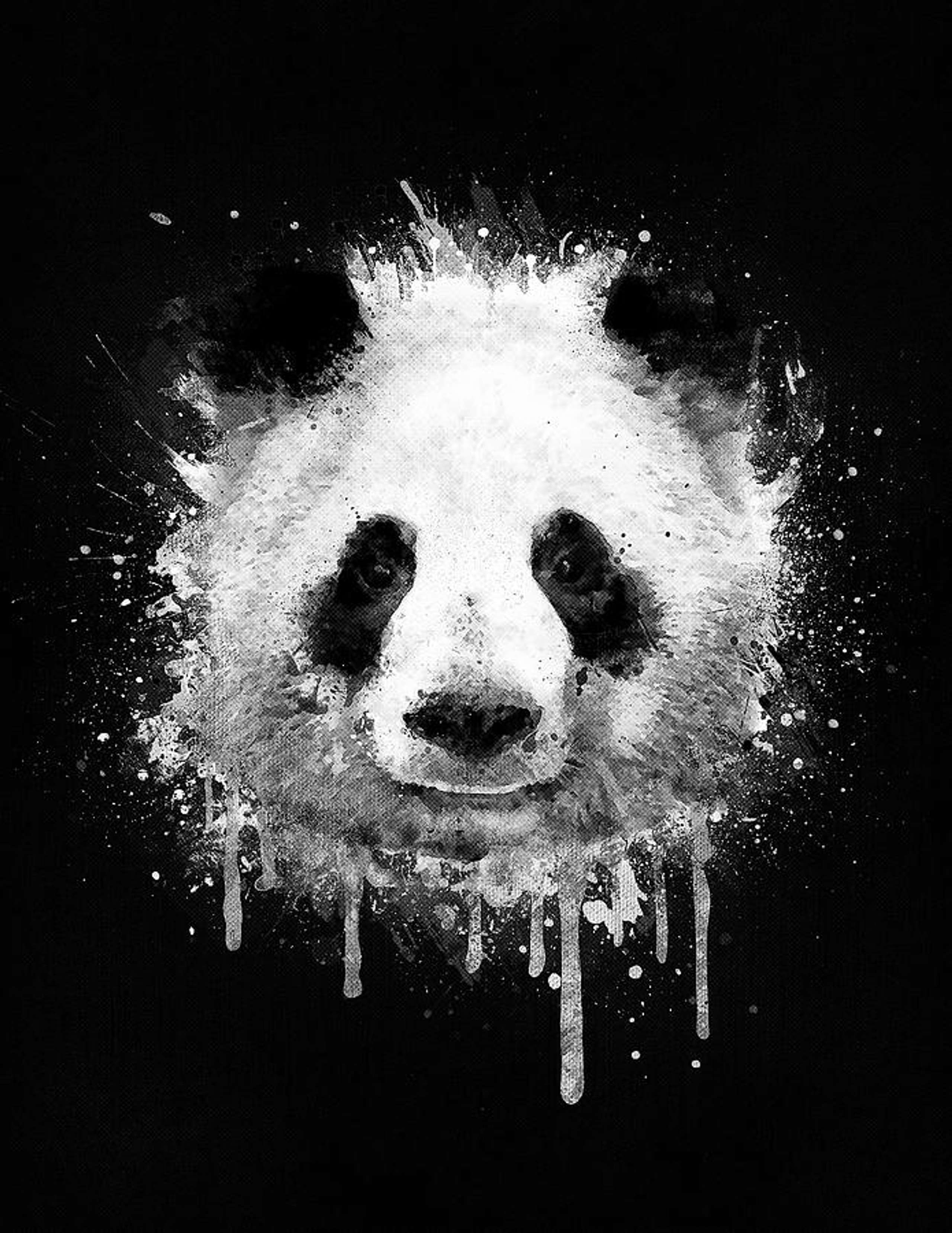 PandaPanda