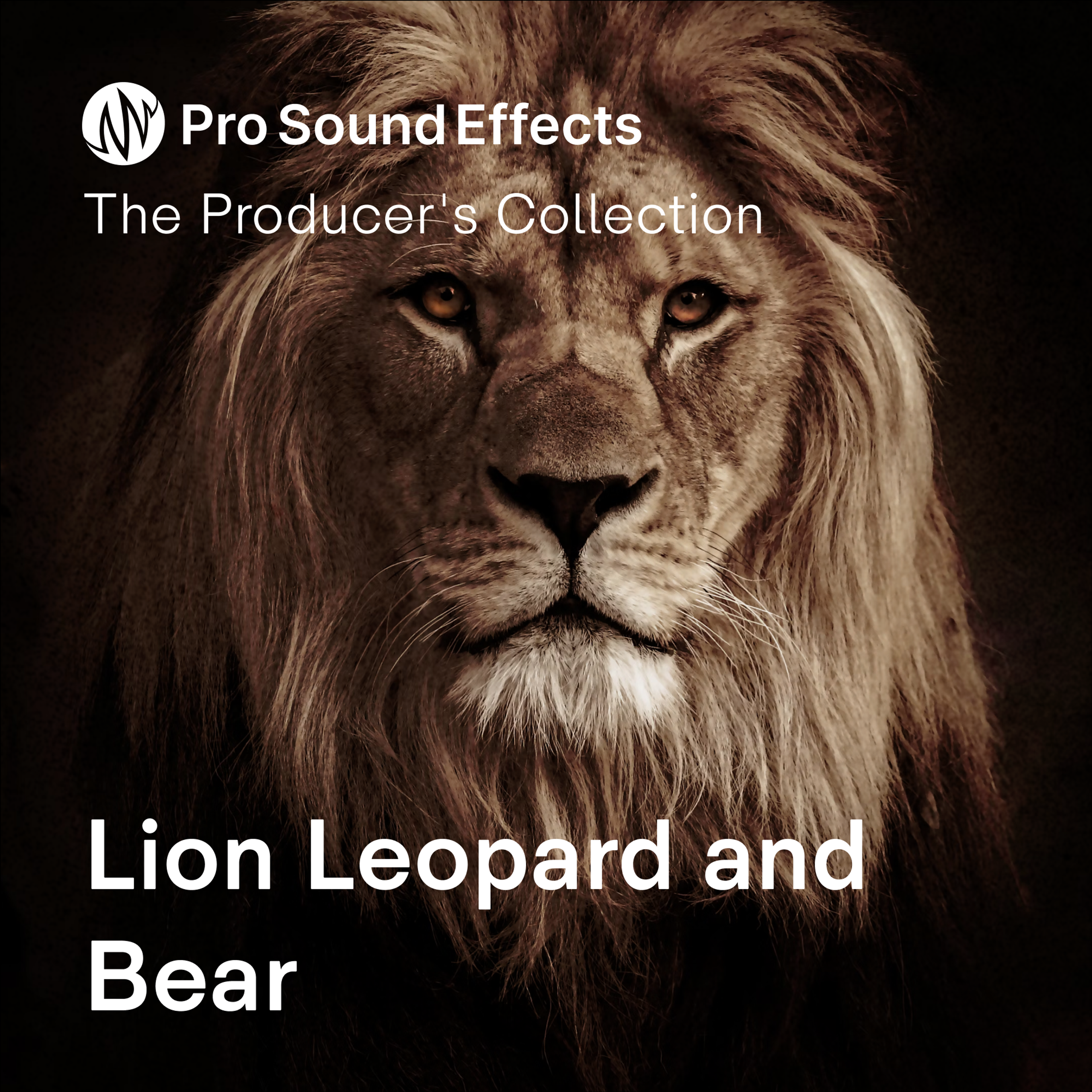 Lion Leopard and Bear