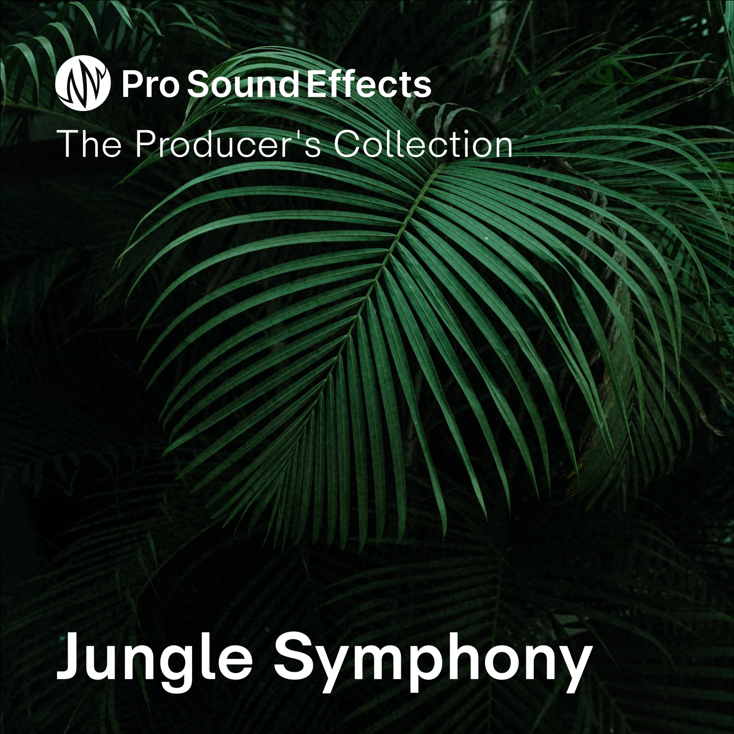 Jungle Symphony