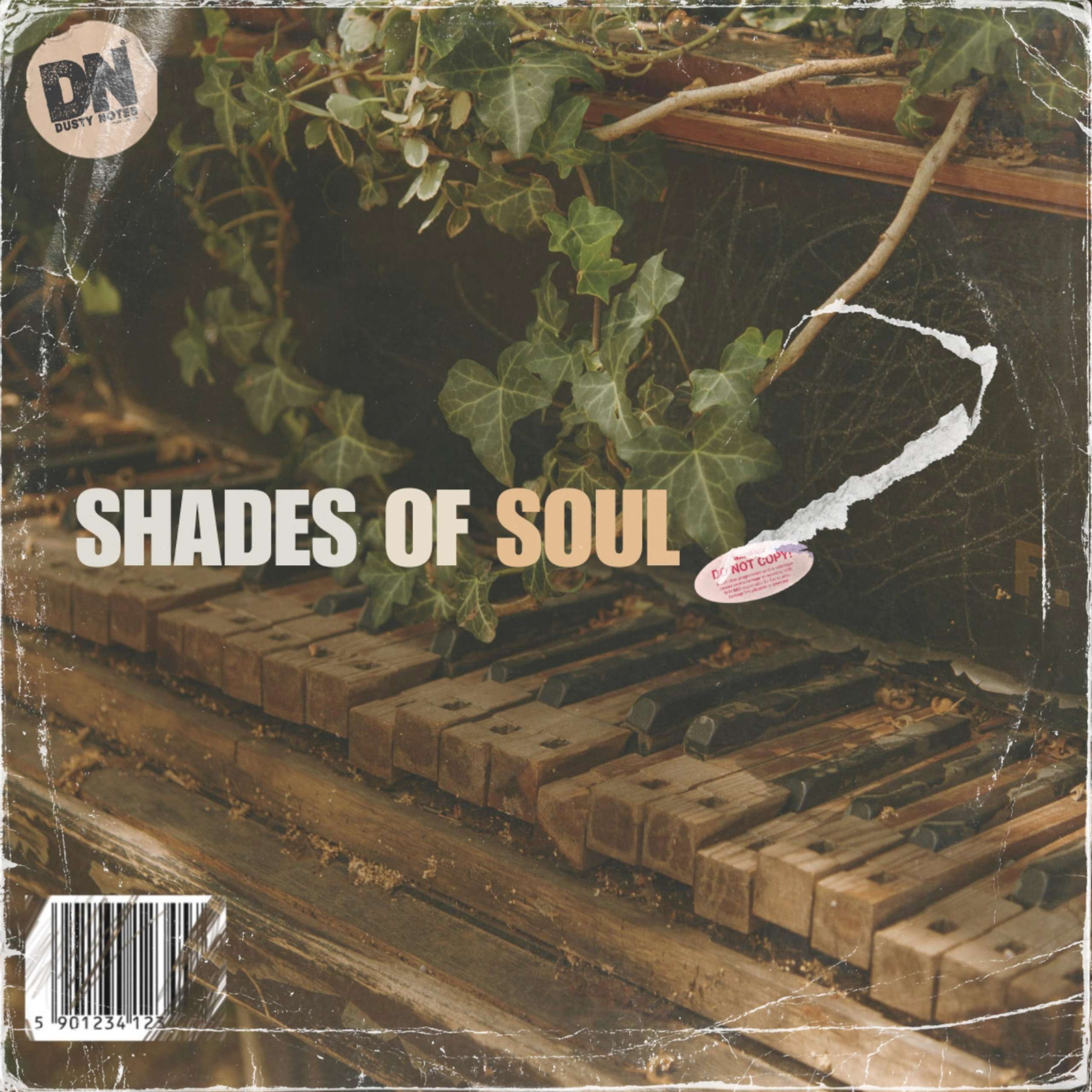 Shades Of Soul by Dusty Notes | TRACKLIB.COM