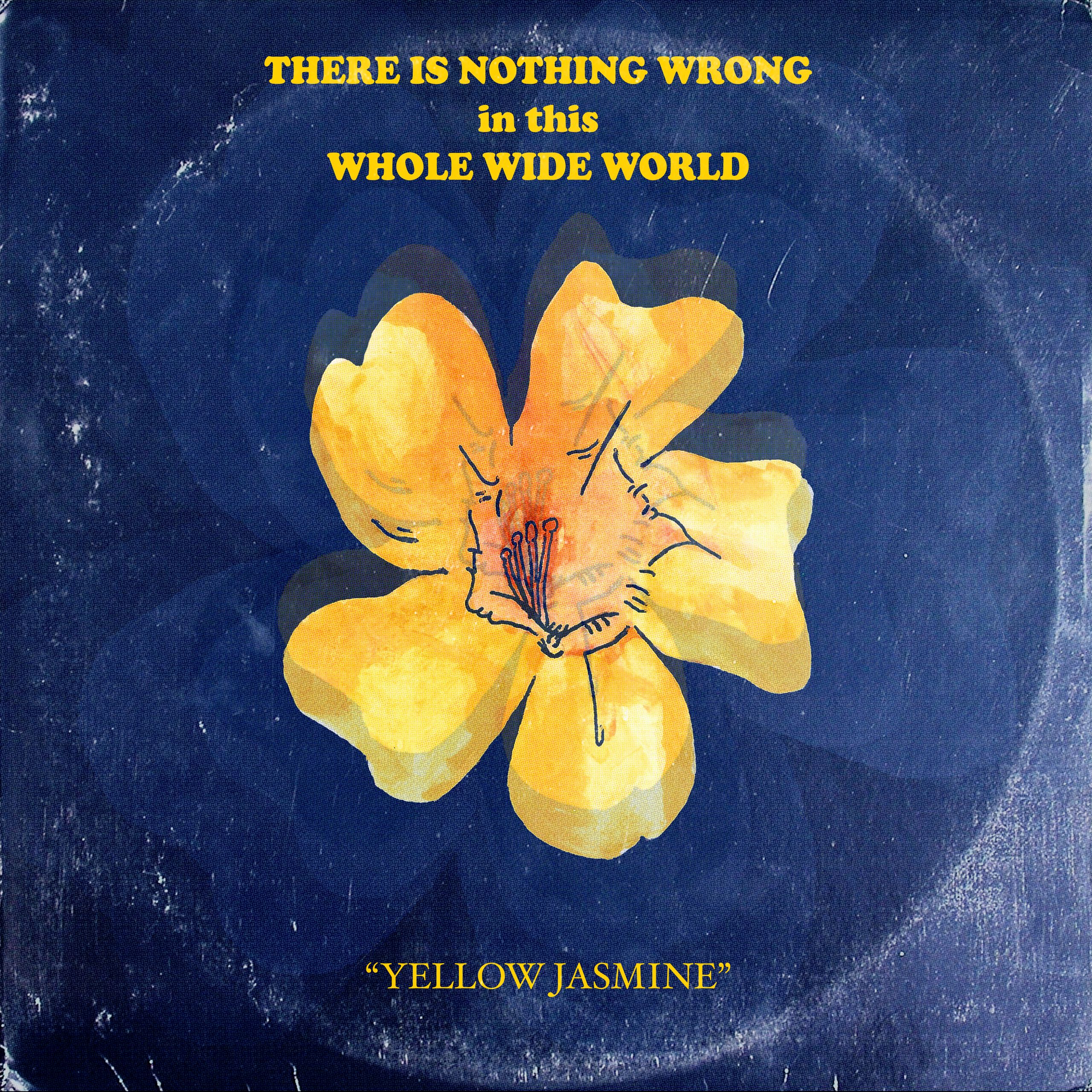 There Is Nothing Wrong In This Whole Wide World