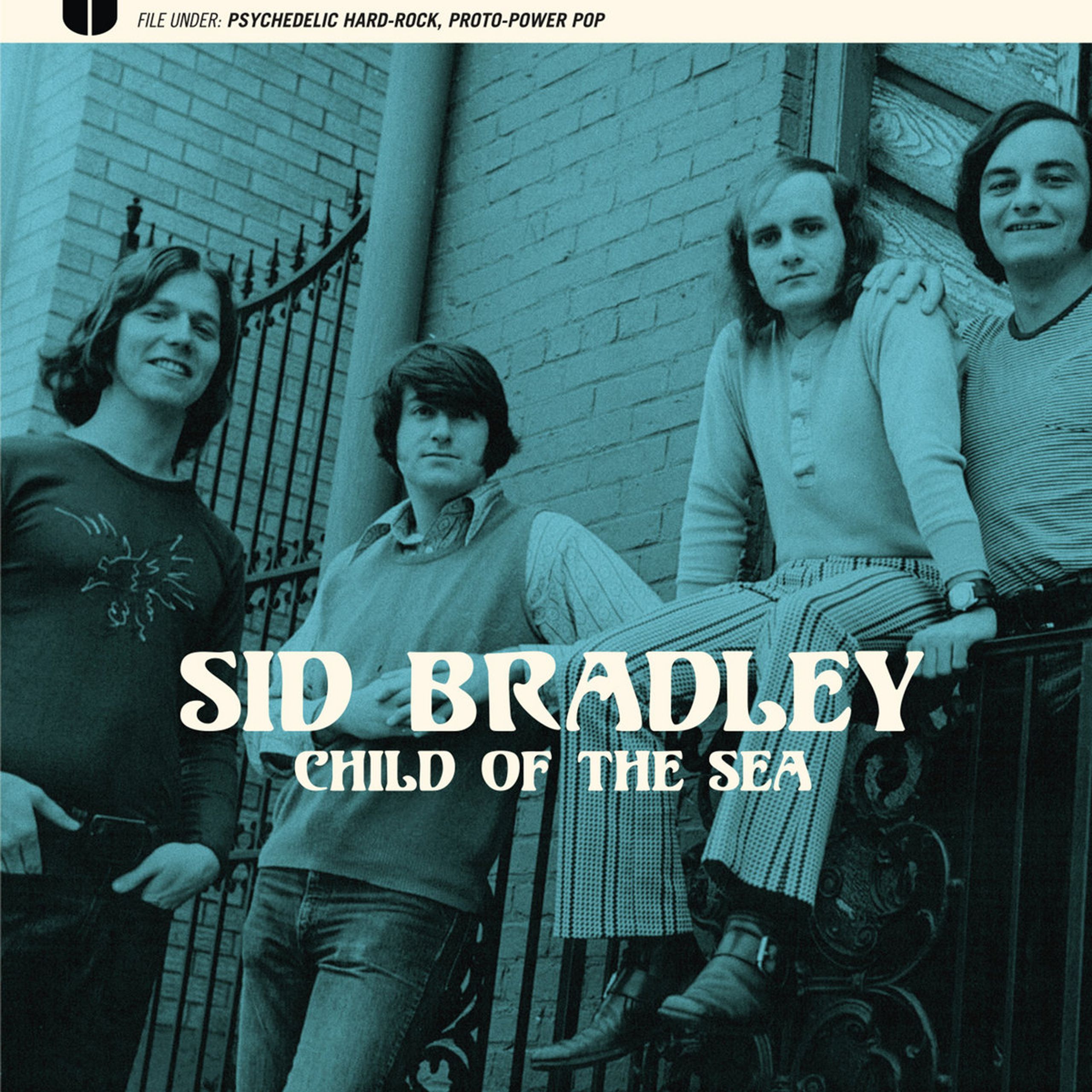洋楽 AKIDO CONFUSION / PSYCHEDELIC SOUL FUNK the best of acid jazz - jazz funk soul acid groove