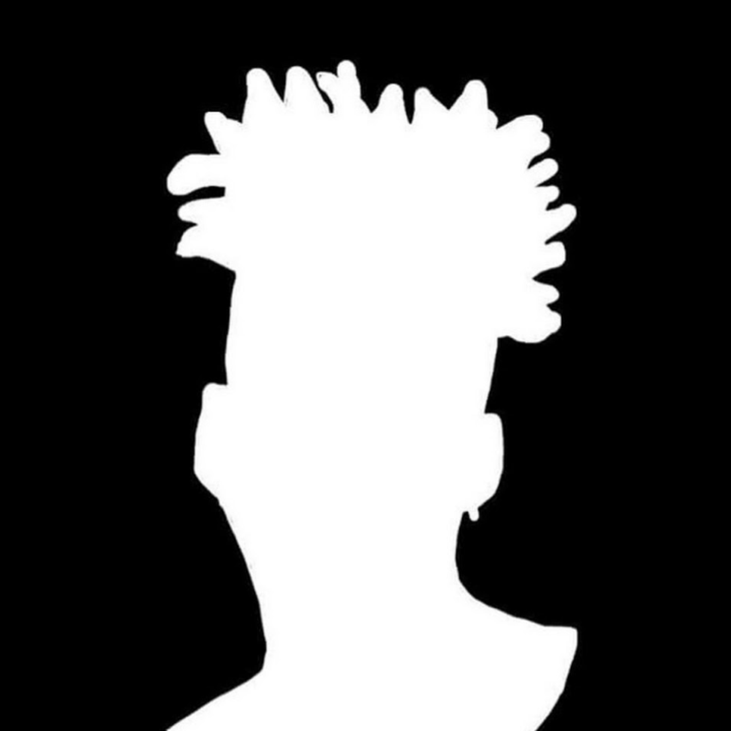 partner image
