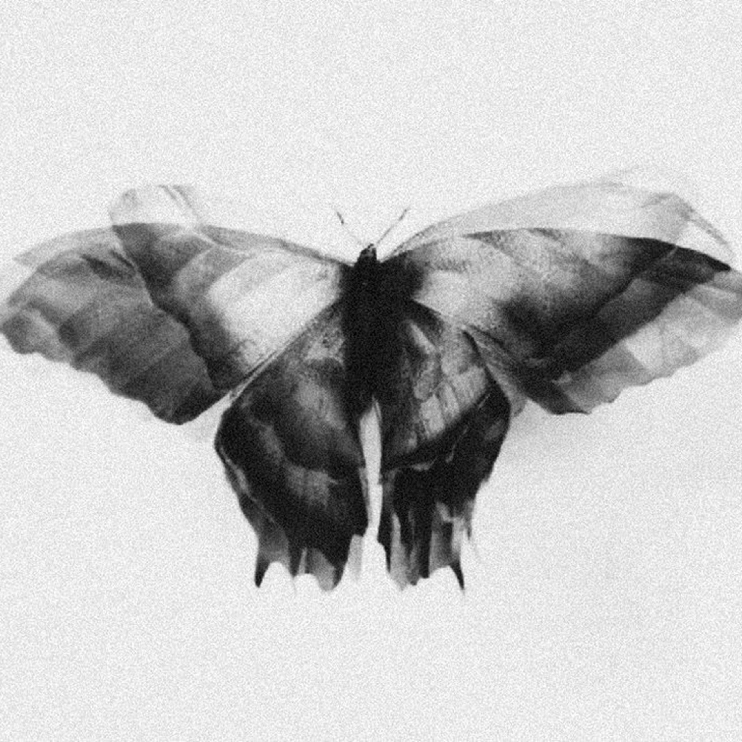 Gloomy Vibes Vol.8