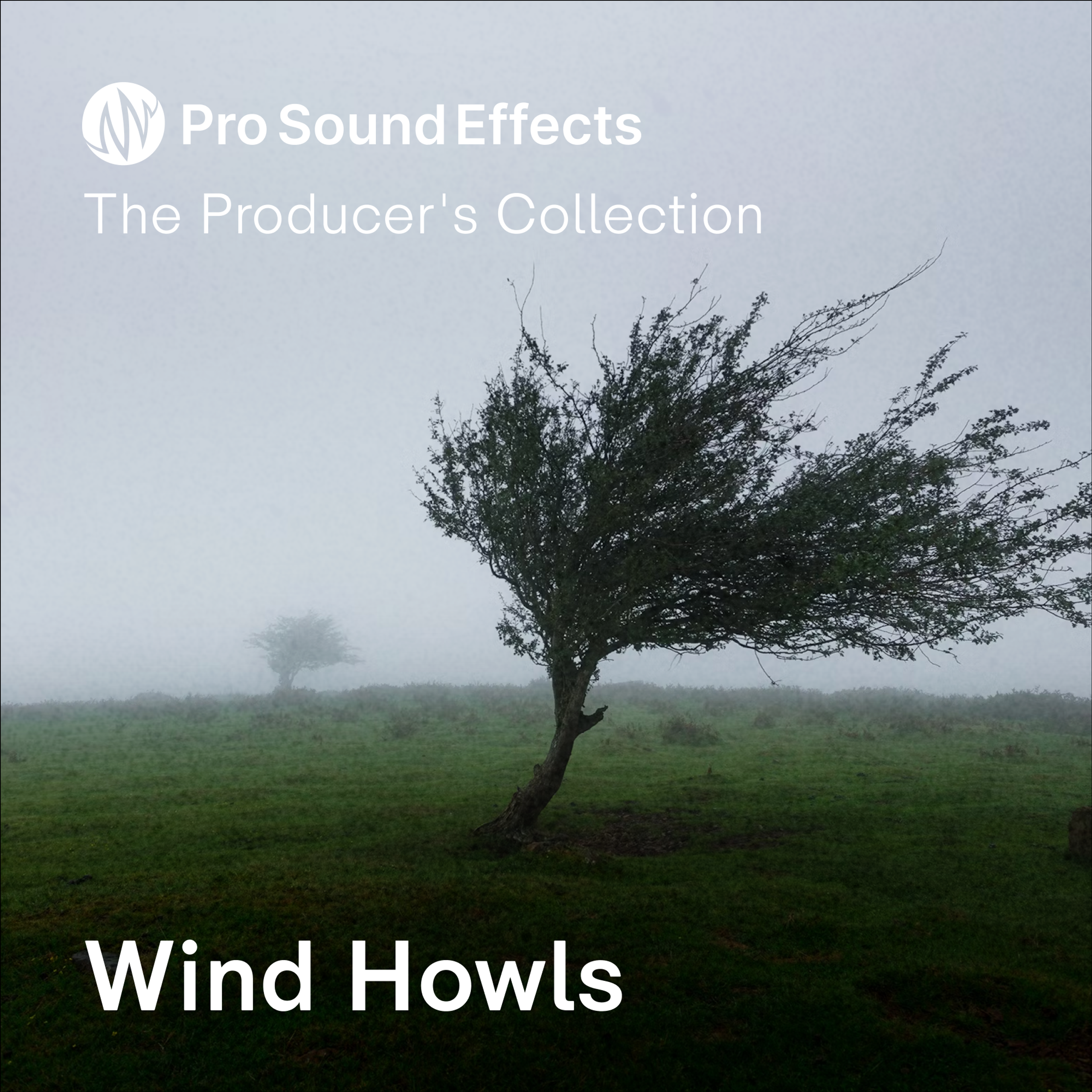 Wind Howls