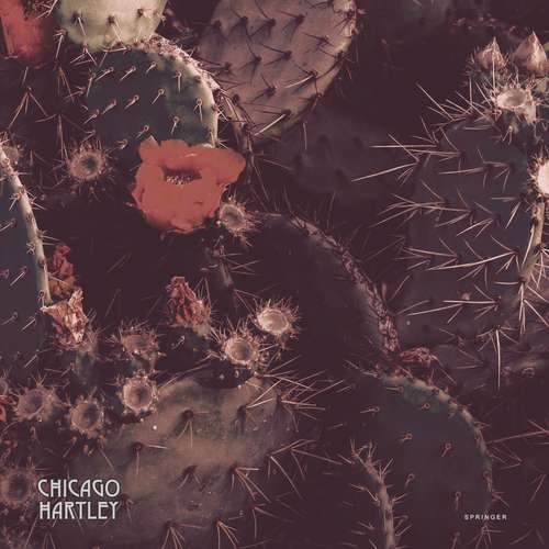 These Beats Were Made For Walking