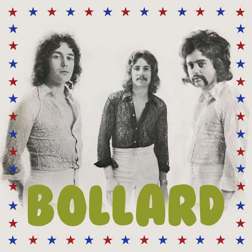 Bollard