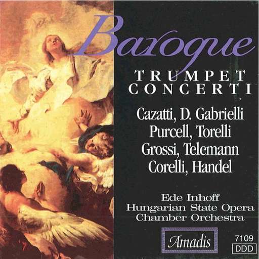 Trumpet Concerto in D Major, G. 28 - II. Grave - Allegro - Adagio