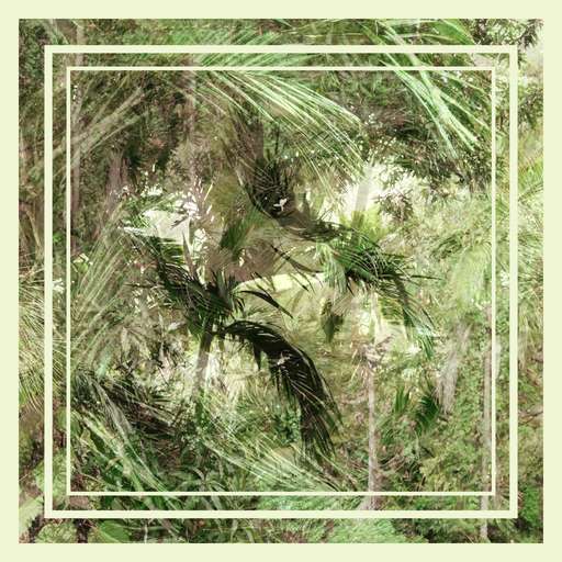 Merak (Peacock Dance)