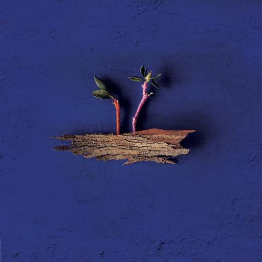 Boa Noite pra falar com o Mar