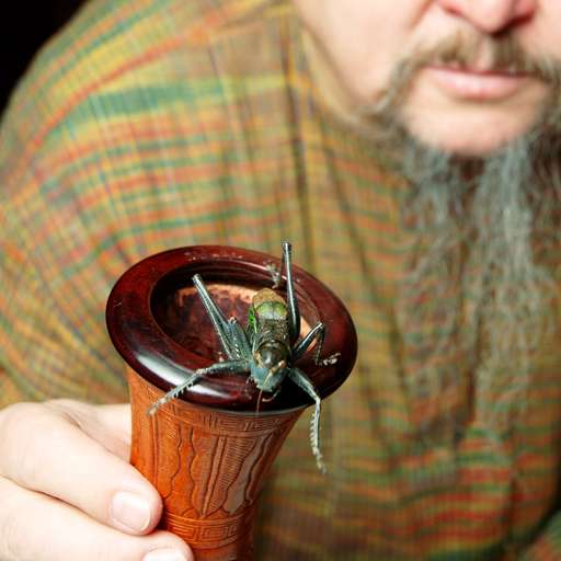 Lars Fredriksson & 108 Chinese Crickets