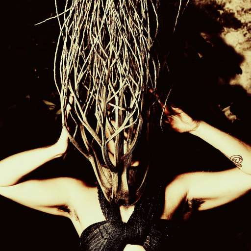 A Revolução das Bruxas