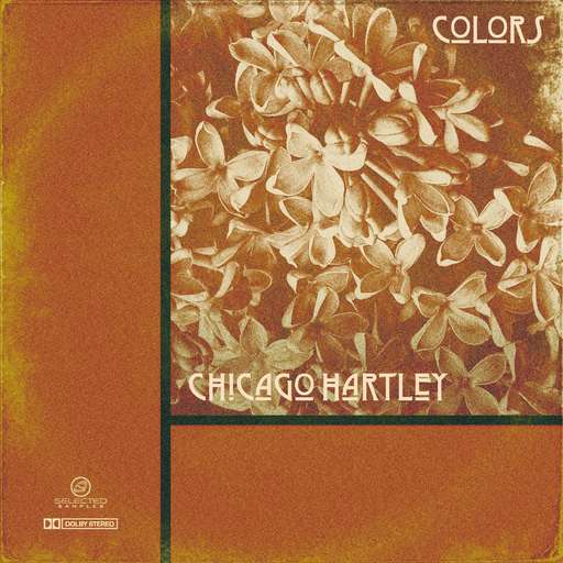 Yesterday Always Owns