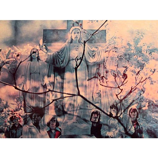 The U.S. Apple Corps