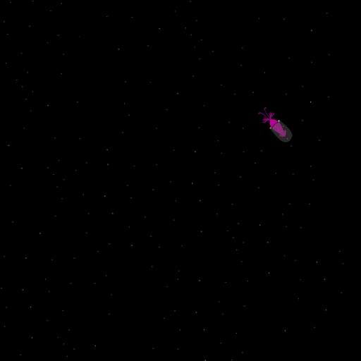 Depressed Squid