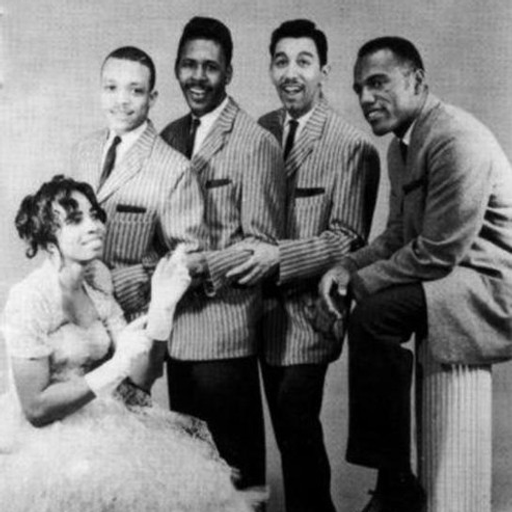 The Dovers