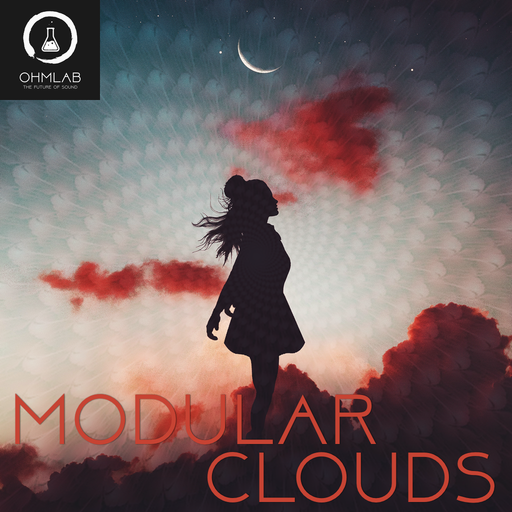 Modular Clouds
