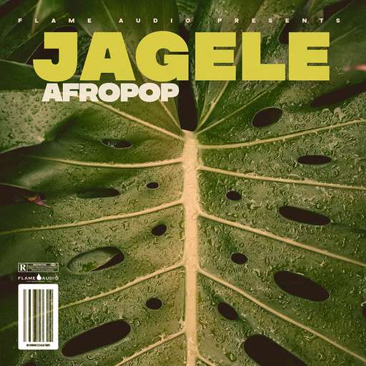 JAGELE Guitars of Africa