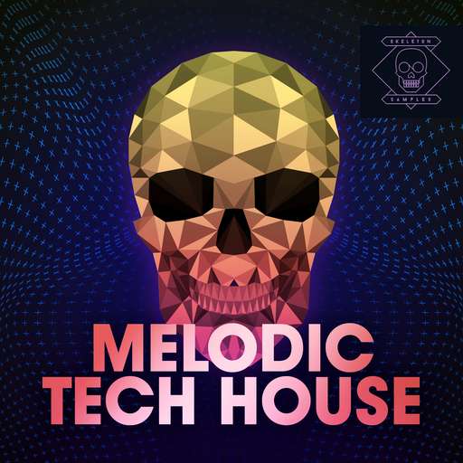 Melodic Tech House