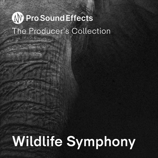 Wildlife Symphony