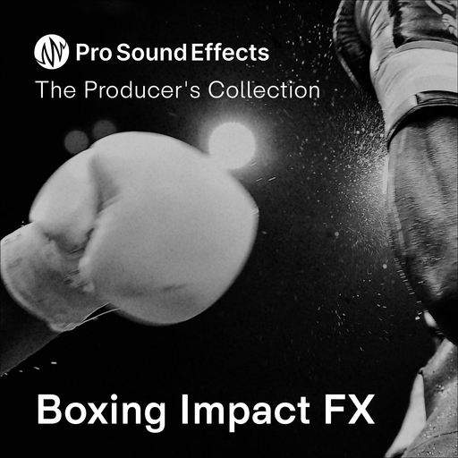 Boxing Impact FX