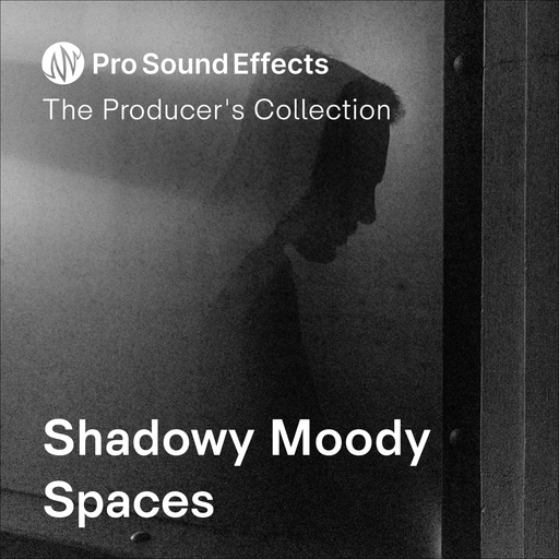 Shadowy Moody Spaces