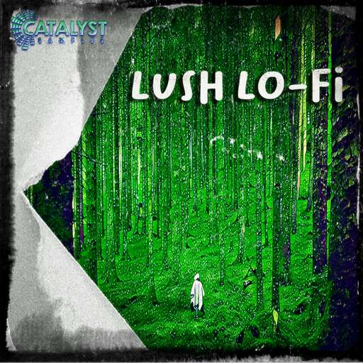Lush Lo-Fi