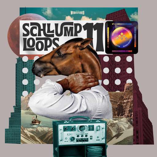 Schlump Loops 11