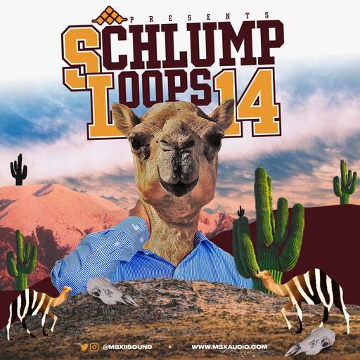 Schlump Loops 14