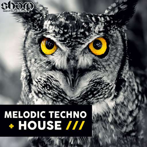 Melodic Techno & House