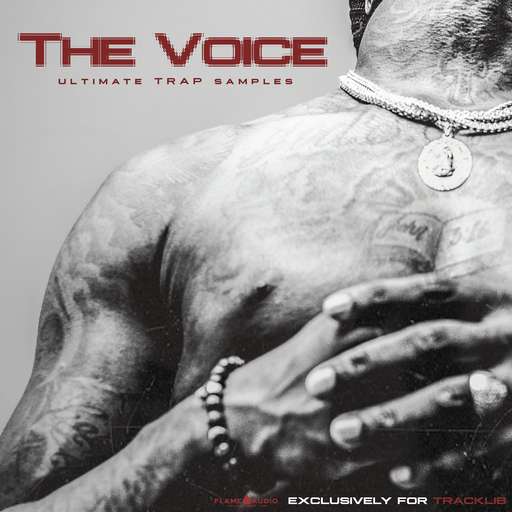 The Voice