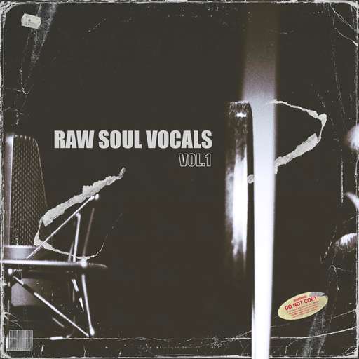 Raw Soul Vocals Vol.1
