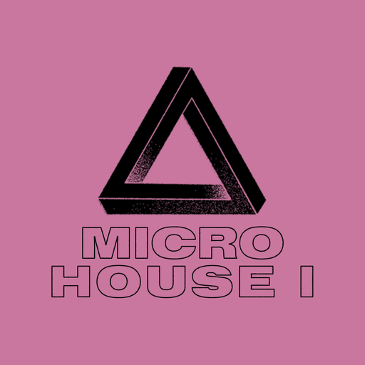 Micro House