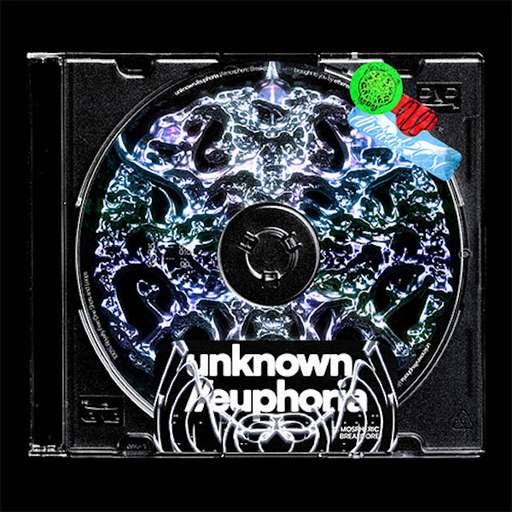 unknown euphoria