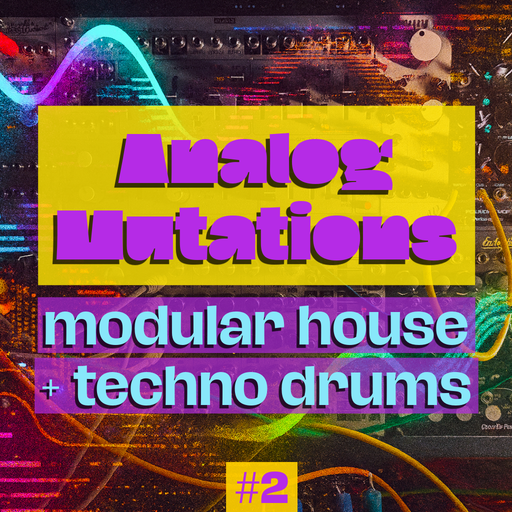 Analog Mutations modular house techno drums 2