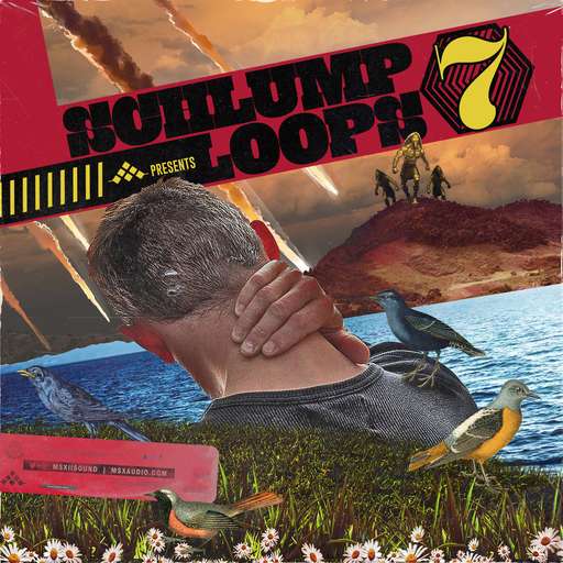 Schlump Loops 7